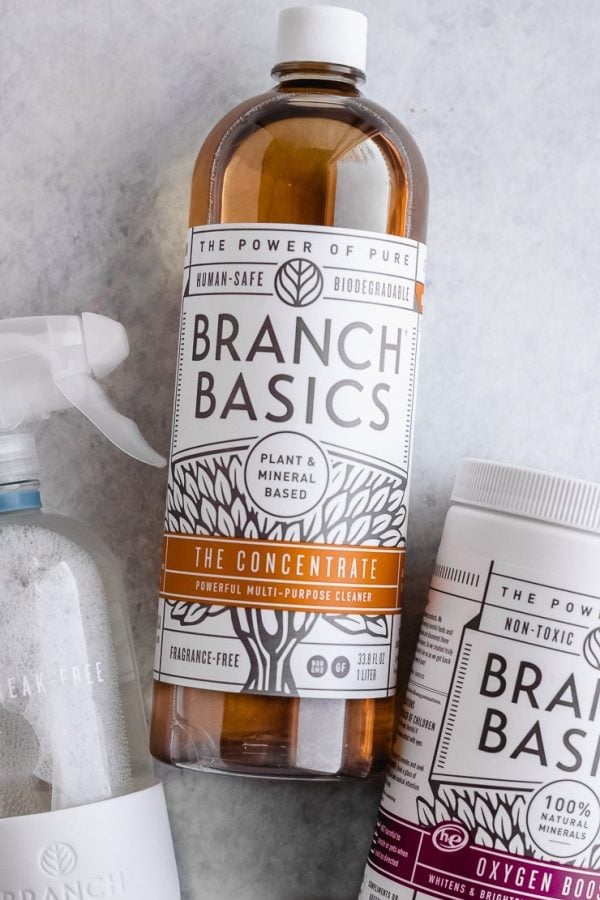 branch basics review